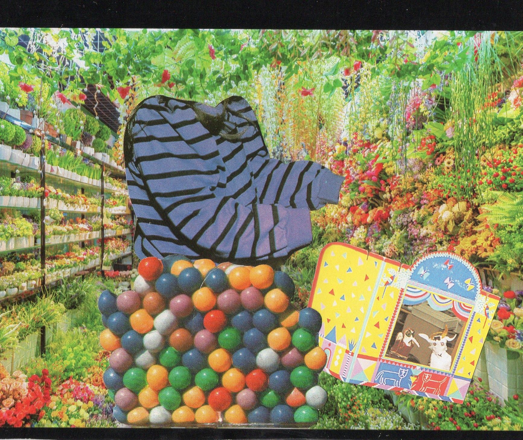 Emily Antinozzi — Collage