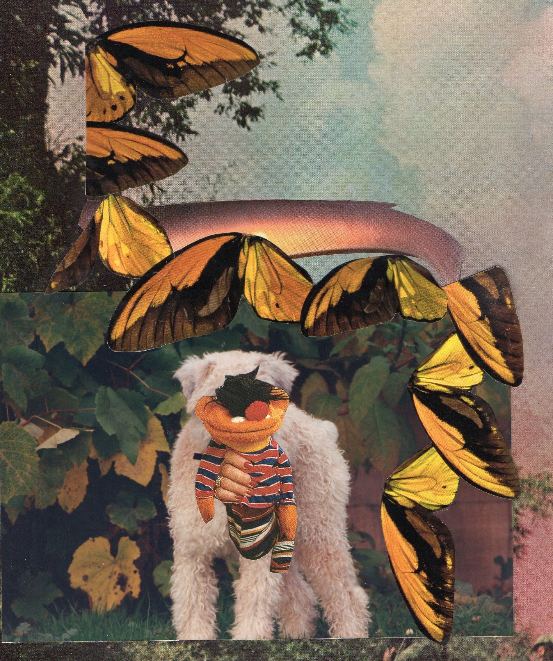 Emily Antinozzi — Collage