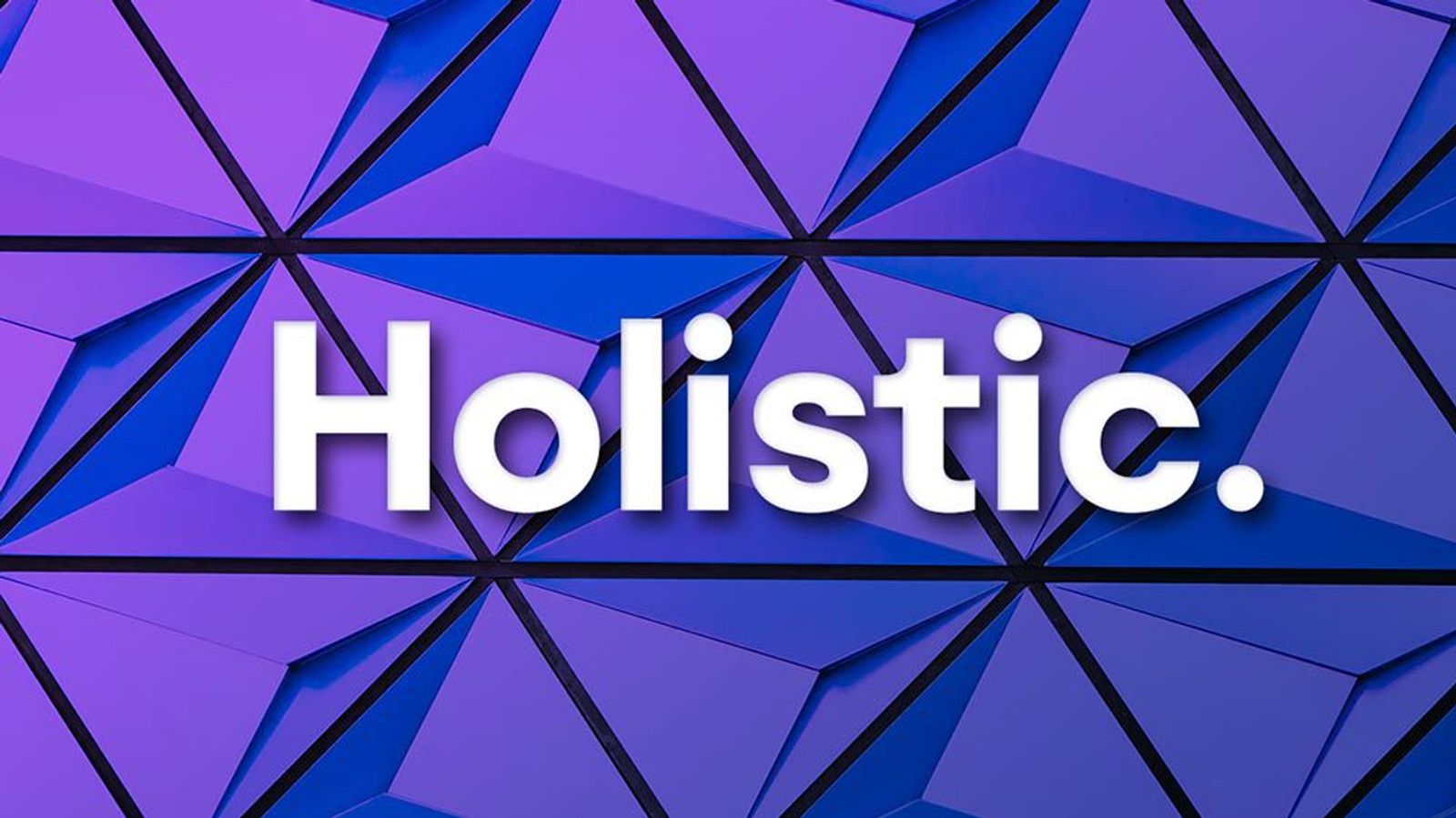 A decorative image reading "holistic"