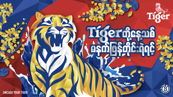 Tiger | A Bolder Tomorrow photo 1