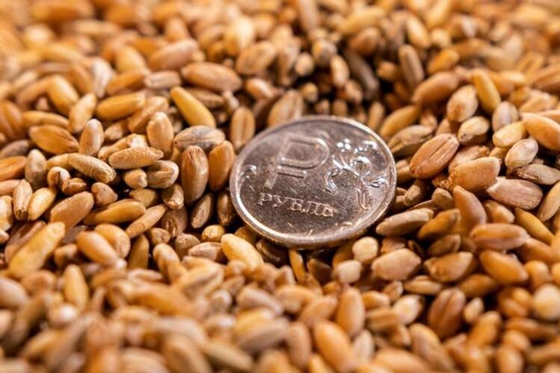 Image for Analysis-Russia’s ‘political’ debt default sets emerging market precedent