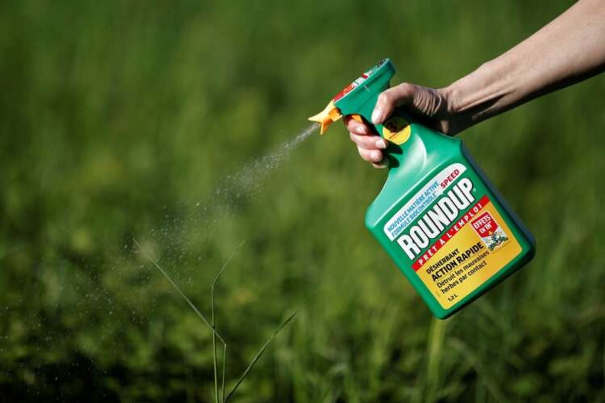 A woman sprays Roundup weedkiller, a product by Bayer, in a garden, highlighting cancer lawsuits - Global Banking & Finance Review