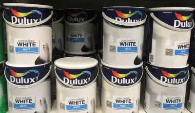Image for Dulux maker Akzo Nobel lifts outlook on easing raw material costs