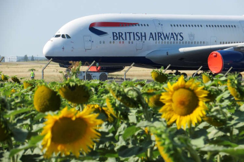 Image for BA invests in sustainable aviation fuel as emissions pressure rises