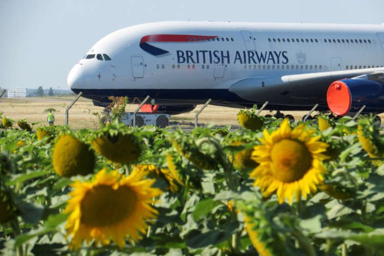 Image for BA invests in sustainable aviation fuel as emissions pressure rises