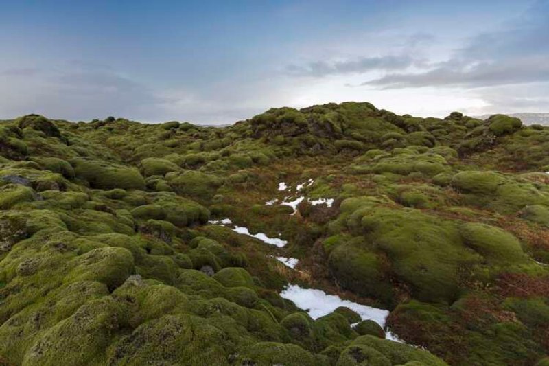 Image for Energy lessons: What the UK can learn from Iceland