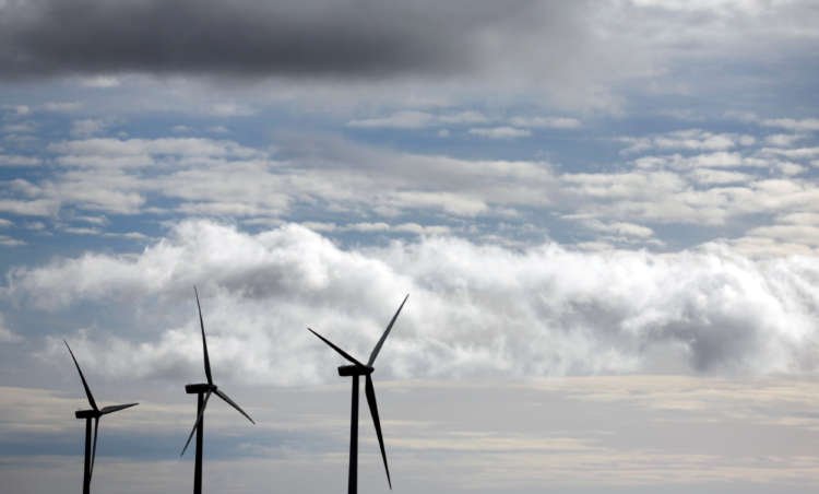 Image for Renewables and grids support Iberdrola earnings and outlook