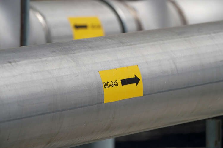 Image for Varo Energy buys 80% of Dutch biogas firm; aims to double capacity by 2026