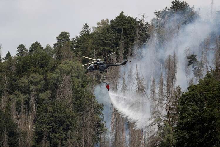 Destructive wildfire engulfing forested area in Hrensko, highlighting global wildfire crisis - Global Banking & Finance Review