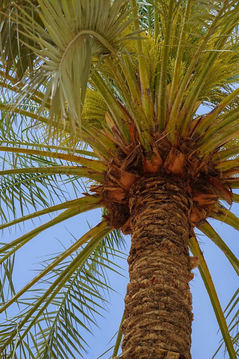 Image for Factbox-Airlines suspend flights as Middle East tensions rise