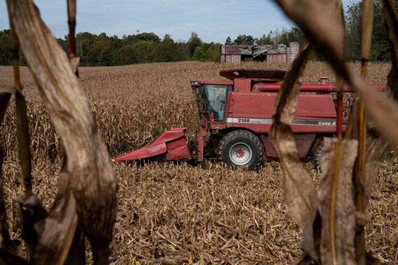 Image for End of cheap money for U.S. farmers plows trouble into food production