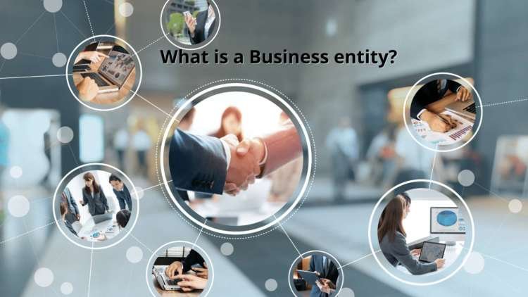 What is a Business entity