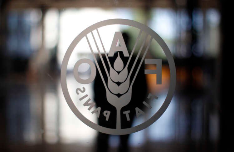 FAO logo displayed at headquarters in Rome, symbolizing global food price index trends - Global Banking & Finance Review