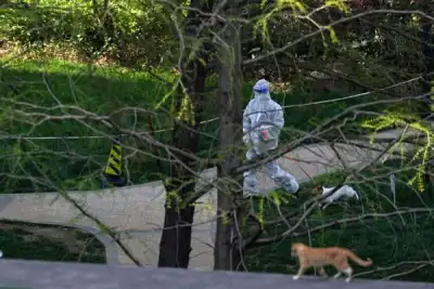 Image for China sends military, doctors to Shanghai to test 26 million residents for COVID