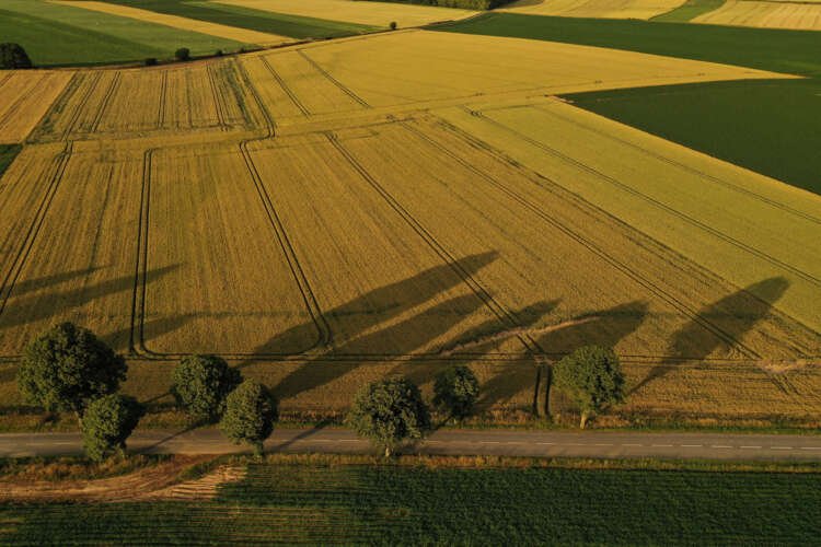 Sunset over expansive crop fields highlighting agriculture's volatility - Global Banking & Finance Review