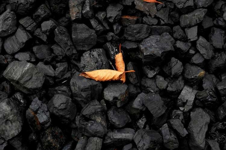 A leaf atop coal symbolizes the fossil fuel industry's impact on climate - Global Banking & Finance Review