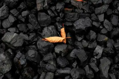 Image for World’s top banks pumped $742 billion into fossil fuels in 2021 – report