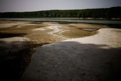 Image for Market value alone is selling nature short, governments told