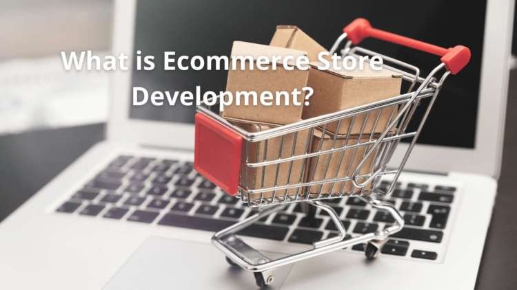 What is Ecommerce Store Development