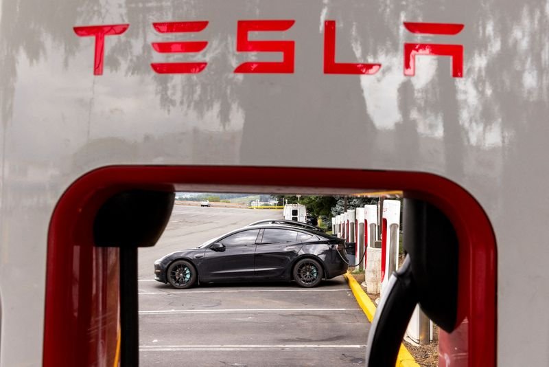 Image for Tesla commits to cheaper cars in first half, sees autonomous vehicles 'in the wild' in June