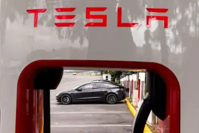Image for Tesla commits to cheaper cars in first half, sees autonomous vehicles 'in the wild' in June