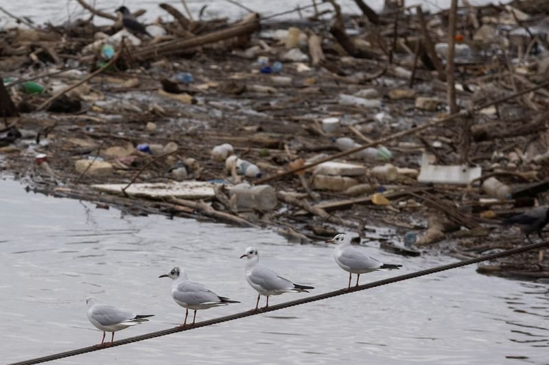 Polluted river with chemical waste and urban surroundings - Global Banking & Finance Review