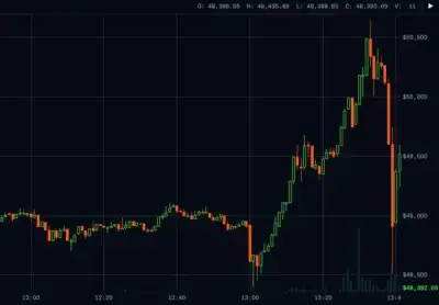 Image for Bitcoin is ‘economic side show’ and poor hedge against stocks – JP Morgan