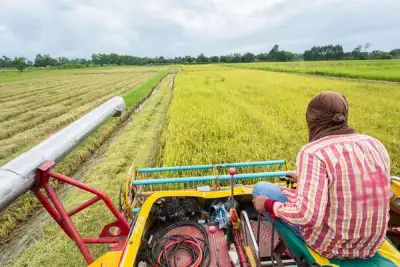 Image for Data positions agriculture as key driver of Africa’s growth