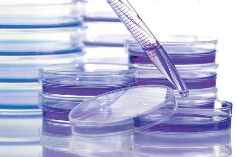 Image for Cancer coalition aims to boost access to medicines in poorer countries