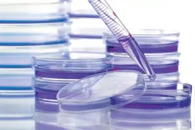 Image for Cancer coalition aims to boost access to medicines in poorer countries