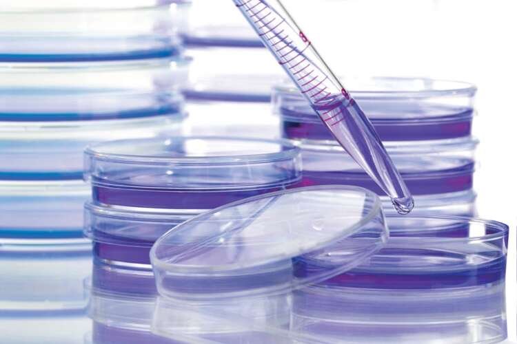 Image for Cancer coalition aims to boost access to medicines in poorer countries