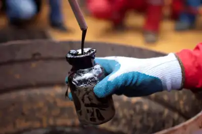 Image for Oil gives up early gains, but Brent stays over $60/bbl