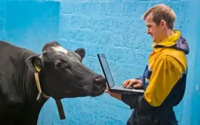 Image for SEP INVESTMENT – WEARABLE TECHNOLOGY FOR COWS