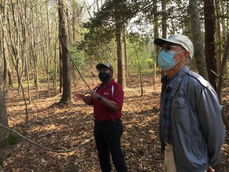 Image for In the U.S. South, a forestry project helps Black families keep their land