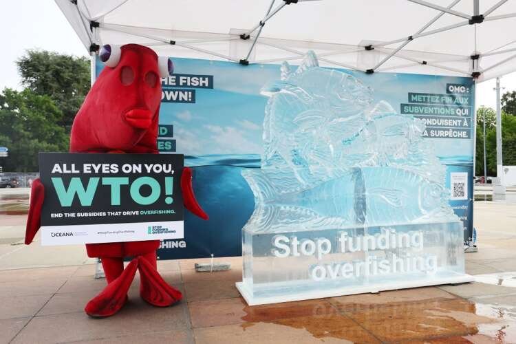 WTO Director-General Ngozi Okonjo-Iweala discusses COVID vaccine rights - Global Banking & Finance Review