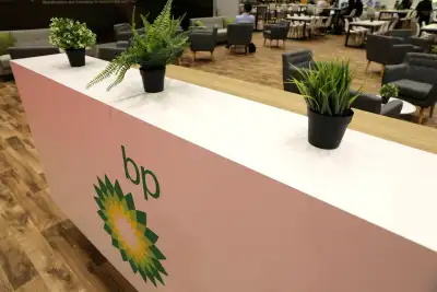 Image for BP halts hiring, slows renewables roll-out to win over investors