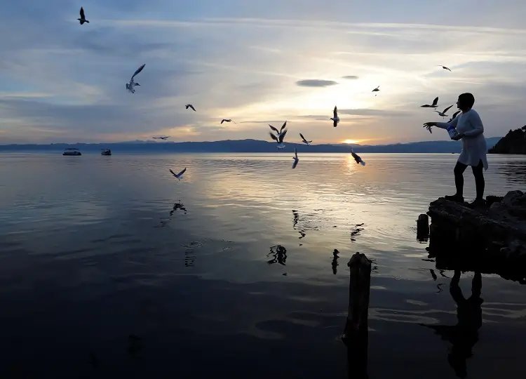 Image for North Macedonia’s UNESCO World Heritage site Lake Ohrid at risk from pollution