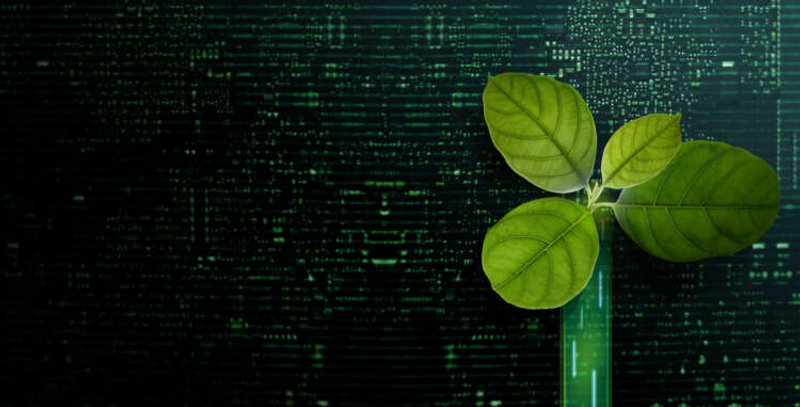 Image for How FinTechs are prioritising ESG