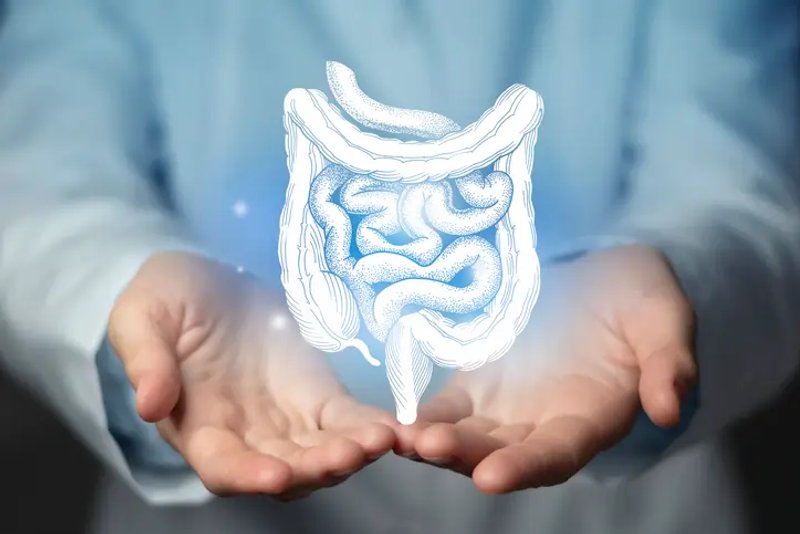 Image for Irritable Bowel Syndrome Treatment Market to Hit $9.36 Billion by 2034 as Demand for Personalized Therapies Grows