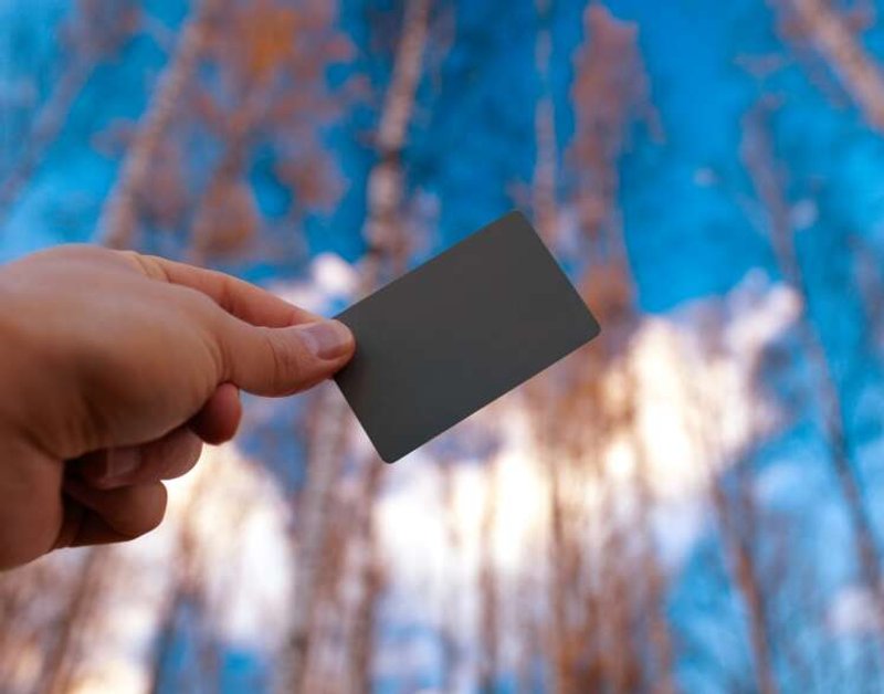 Image for The Anatomy of the Prepaid Card Fraudster