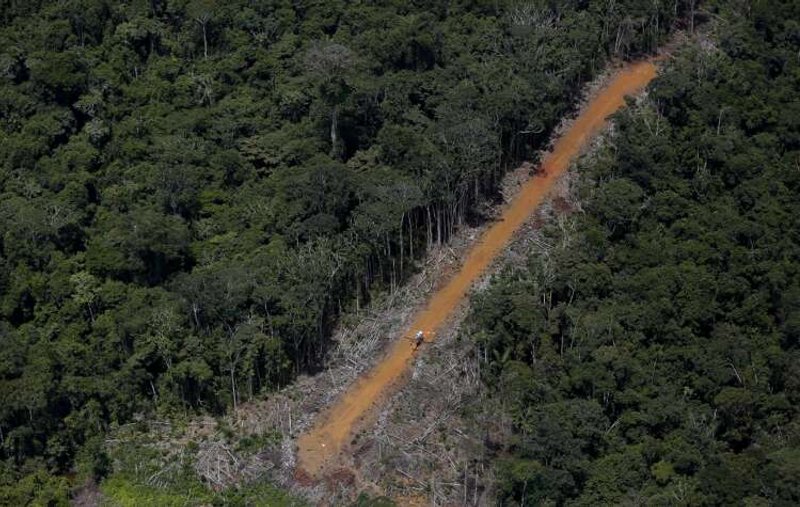 Image for Brazil’s largest indigenous reservation overrun by illegal gold mining, says report