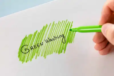 Image for Greenwashing: Managing the risk in the banking sector