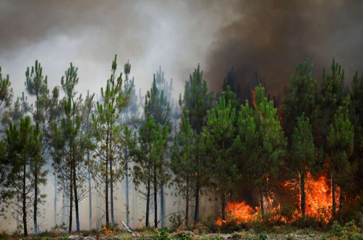 Wildfire smoke billowing over forests in southwestern France during heatwave - Global Banking & Finance Review