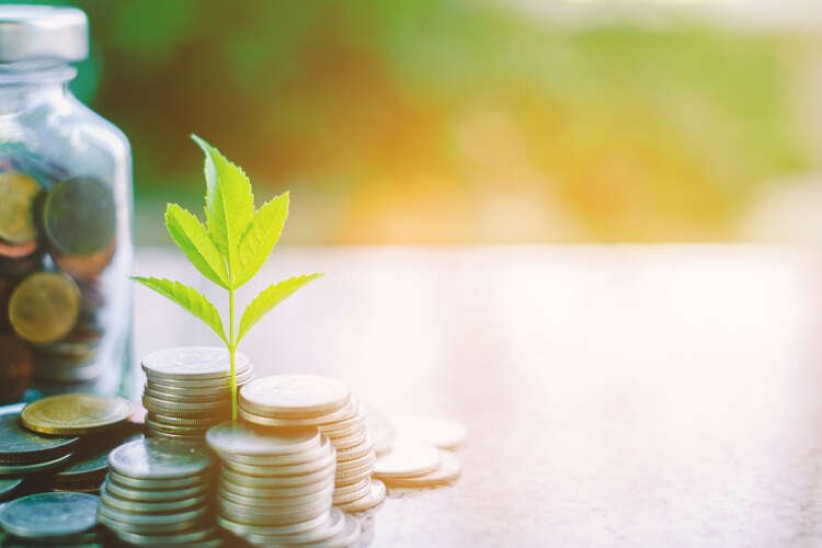 Plant growing from coins symbolizes sustainability in financial services - Global Banking & Finance Review