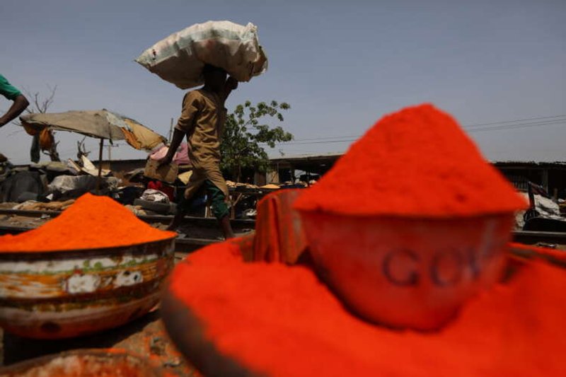 Image for From Nigeria to Brazil ‘halo’ crops reap pandemic profits