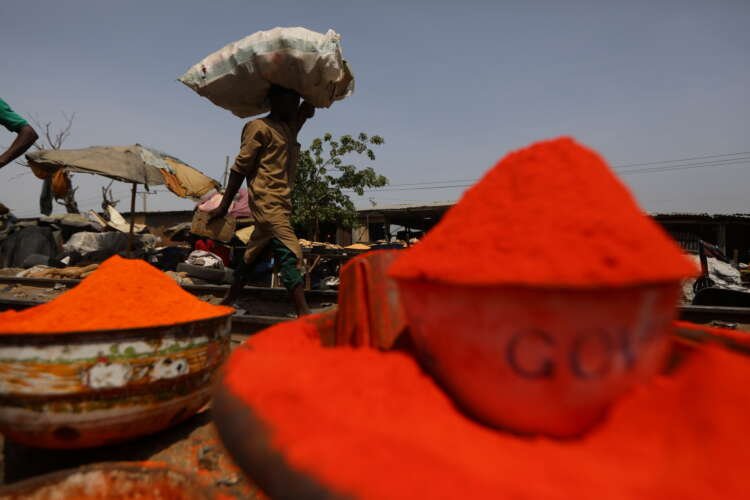 Image for From Nigeria to Brazil ‘halo’ crops reap pandemic profits