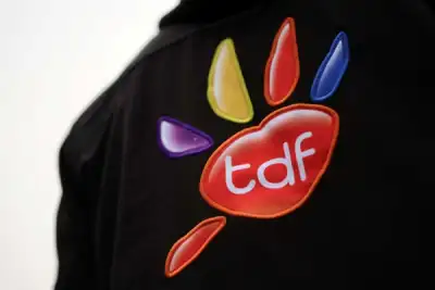 Image for France’s TDF explores fibre unit sale for upwards of 1 billion euros – sources