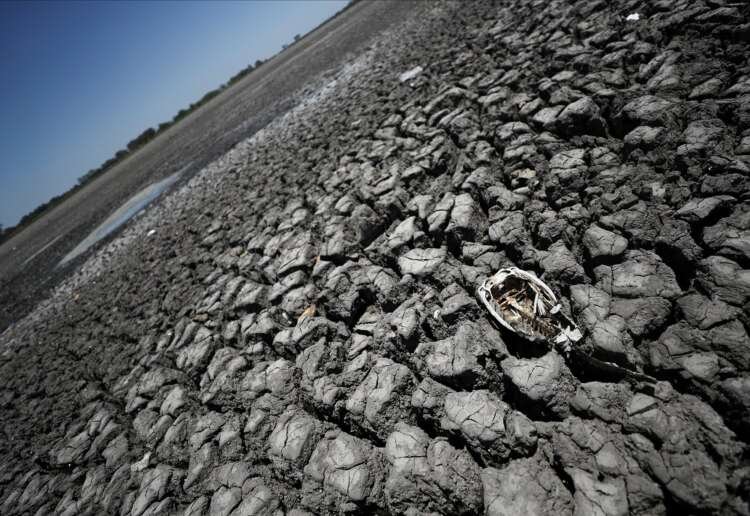 Drought-stricken wheat fields and dead livestock highlight climate change risks - Global Banking & Finance Review