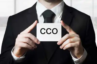 Image for The modern CCO: responding to new demands and technology challenges