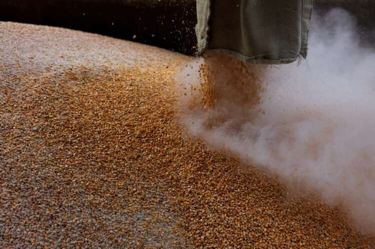 Grain loading at Mlybor mill amid sanctions impacting Russian grain exports - Global Banking & Finance Review